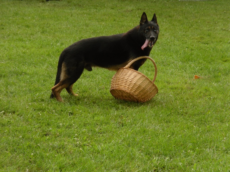 Dargo Du val des hurles vent